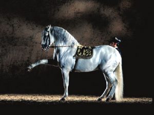 Dressiertes Pferd in der Spanische Hofreitschule