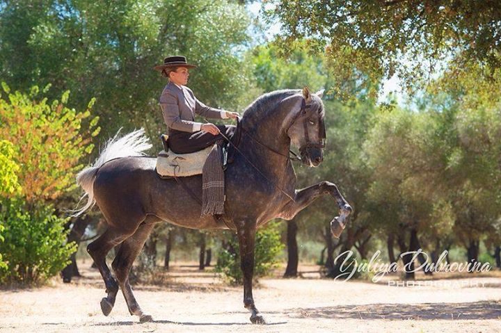 Pferde Urlaub in Andalusien